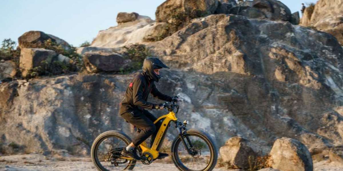 What are the Pros and Cons of a Fat Tire Electric Mountain Bike?