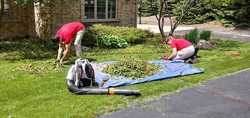 Benefits Of Hiring a Professional For The Lawn Maintenance