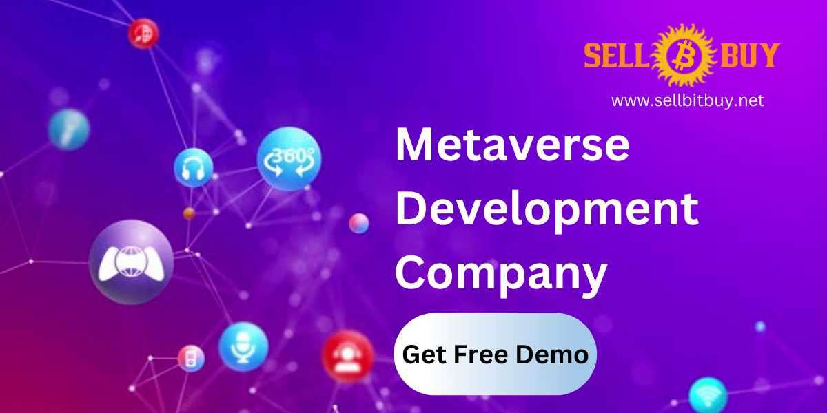 Metaverse Development Company - The Need for Real-world Representation in Metaverse
