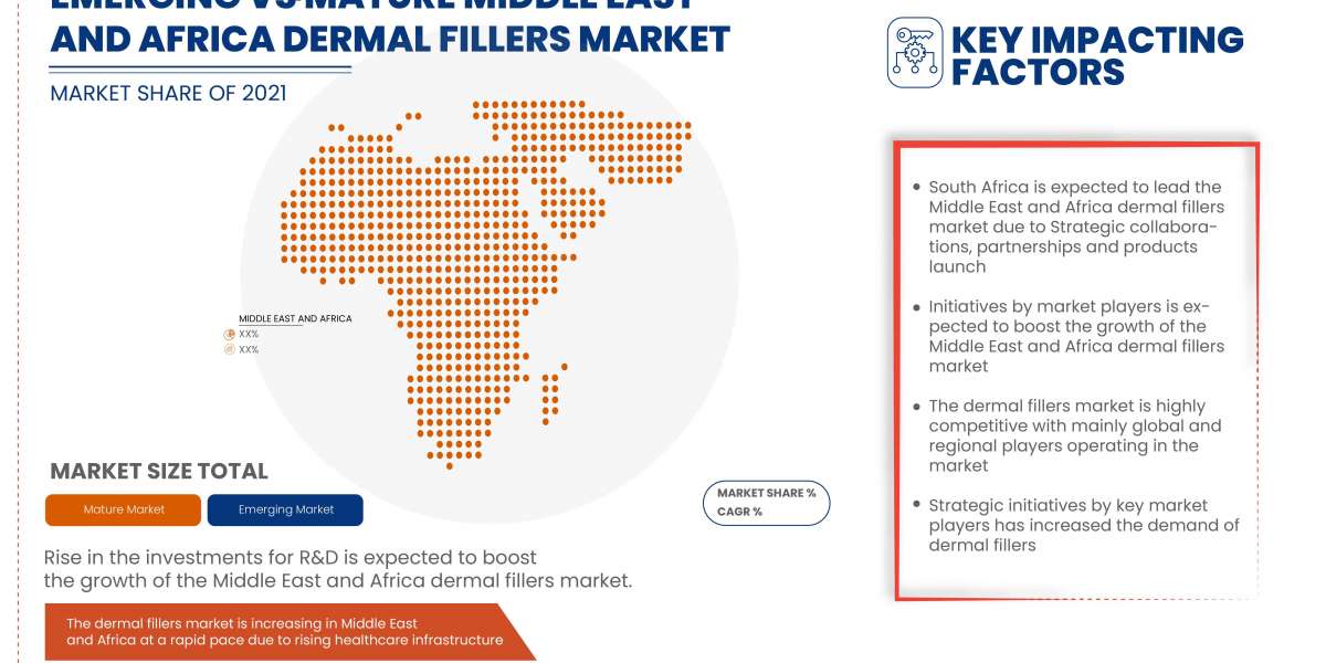 Middle East and Africa Dermal Fillers Market Insights 2022: Trends, Size, CAGR, Growth Analysis by 2029