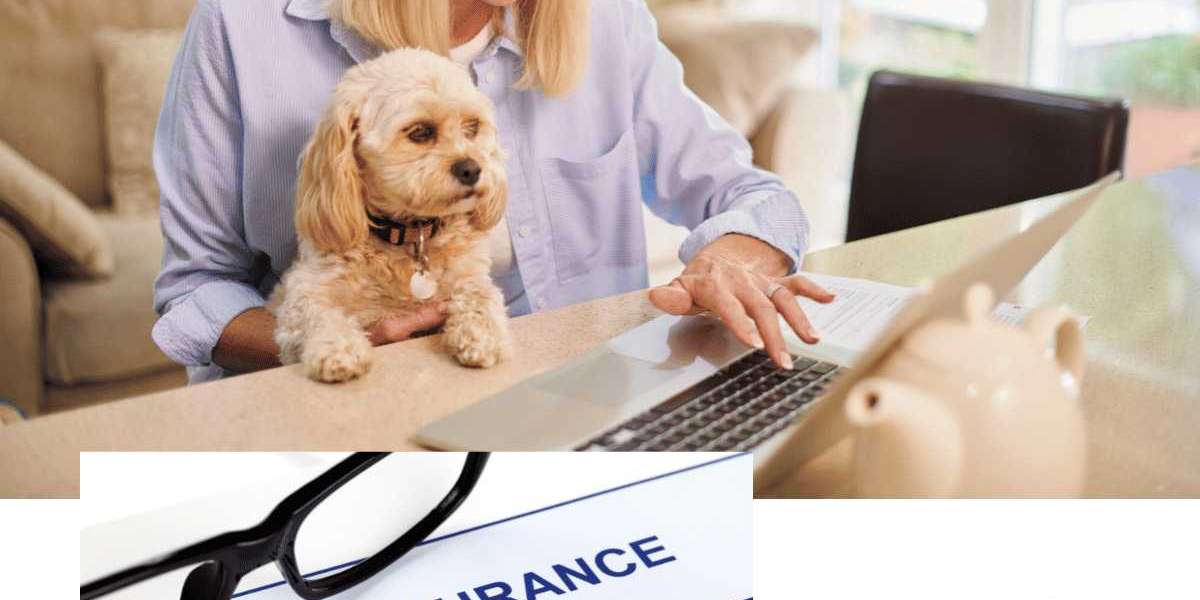 Pet Insurance Market Demand & SWOT Analysis By 2028: Key Players Petplan UK (Allianz), Nationwide, Trupanion.