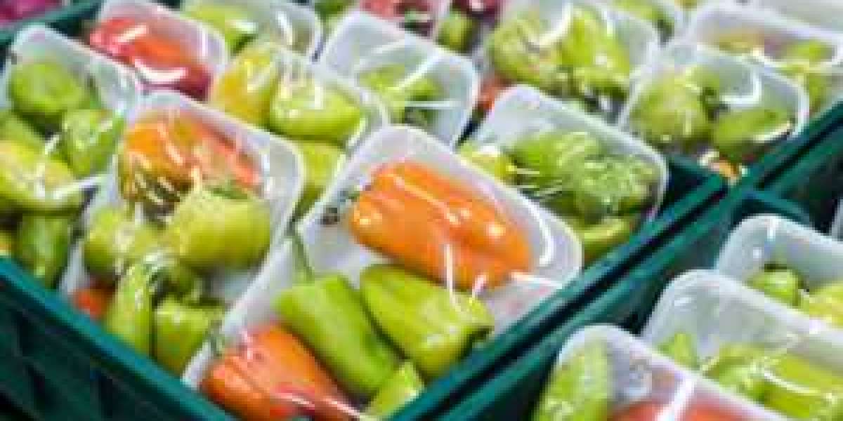 Frozen Food Packaging Market reach USD 69.24 billion in 2027