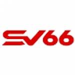 SV66 Profile Picture