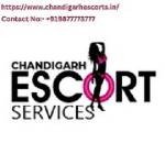 Chandigarh Escorts profile picture