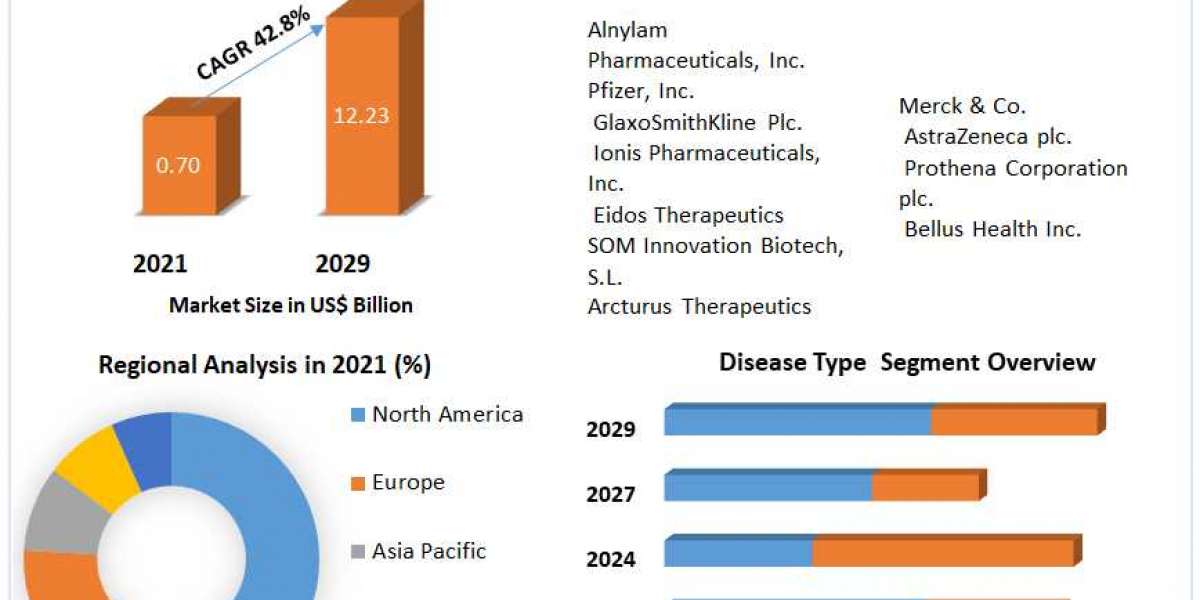 Transthyretin Amyloidosis Treatment Market  Application and Geography Trends, Business Trends, Size, Growth and Forecast