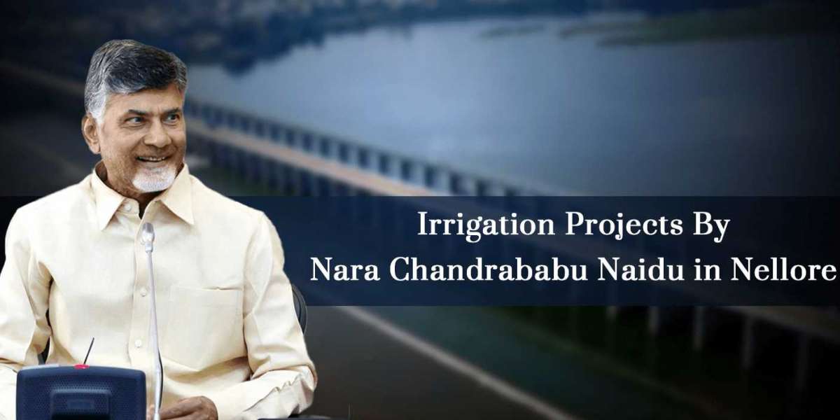 Irrigation Projects By Nara Chandrababu Naidu in Nellore