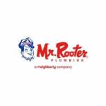 Mr Rooter Plumbing of Tampa Profile Picture