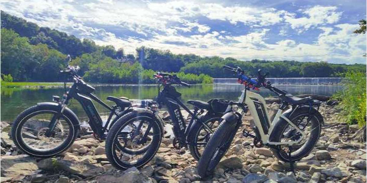 The Best Fat Tire Ebikes: Magicycle Is Here to Stay