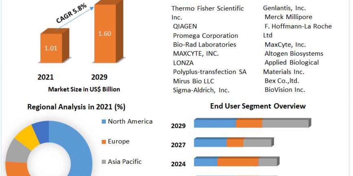 Transfection Reagents and Equipment Market Top Industry Trends & Opportunities, Competition Analysis 2029