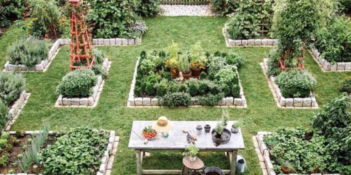 A Guide To Creating A Small Yet Successful Victorian Kitchen Garden