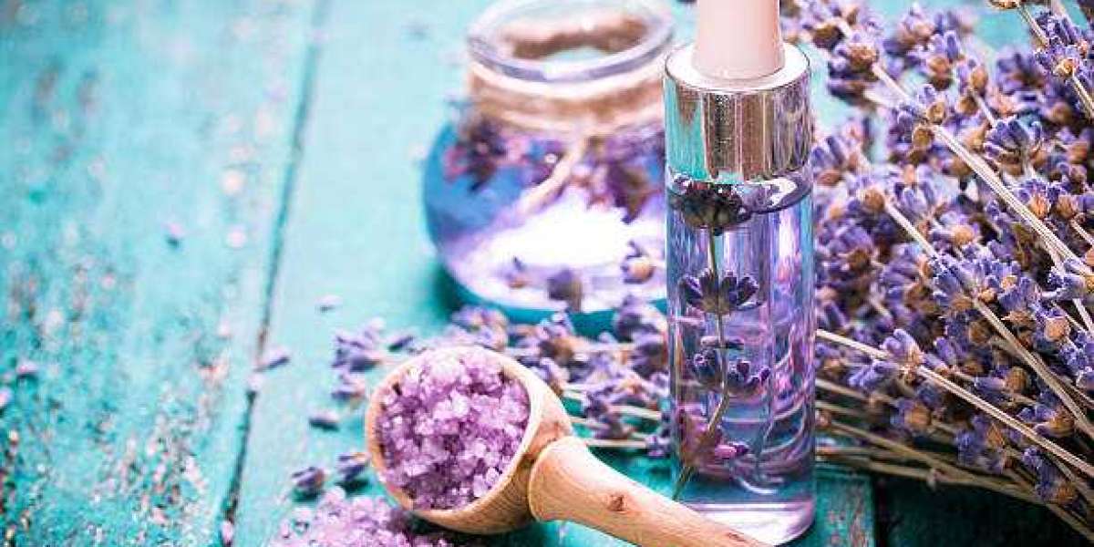 Lavender Extracts Market Outlook, Revenue Share Analysis, Market Growth Forecast 2028