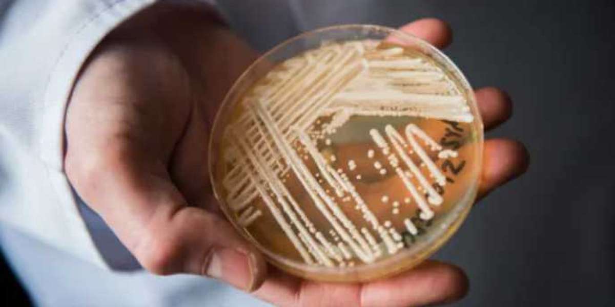 Deadly fungal infection spreading at an alarming rate, CDC says
