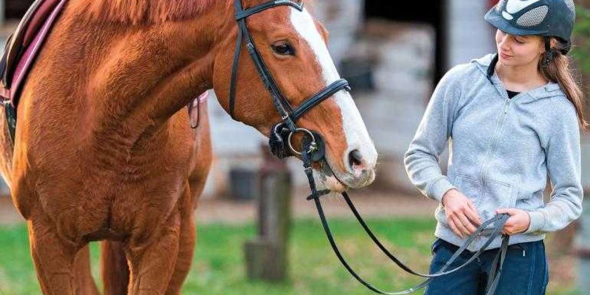 Horse Tack Market is expected to grow at a CAGR of 8.4% from 2023 to 2033