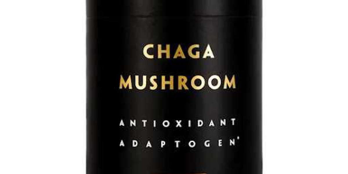 Chaga Mushroom Powder: How It Is Helpful For Health Benefits