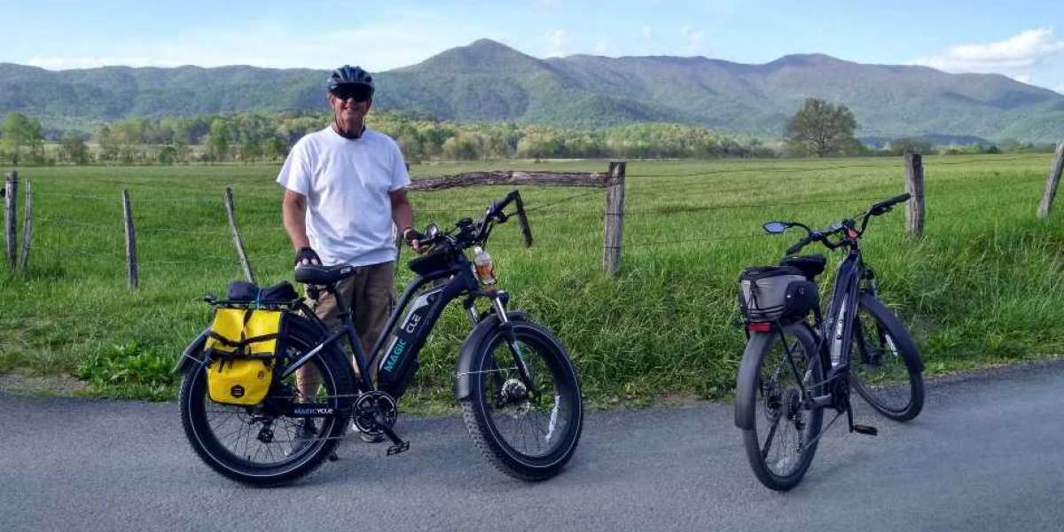 Electric Bike With Passenger Seat Is Ok For Getting A Companion