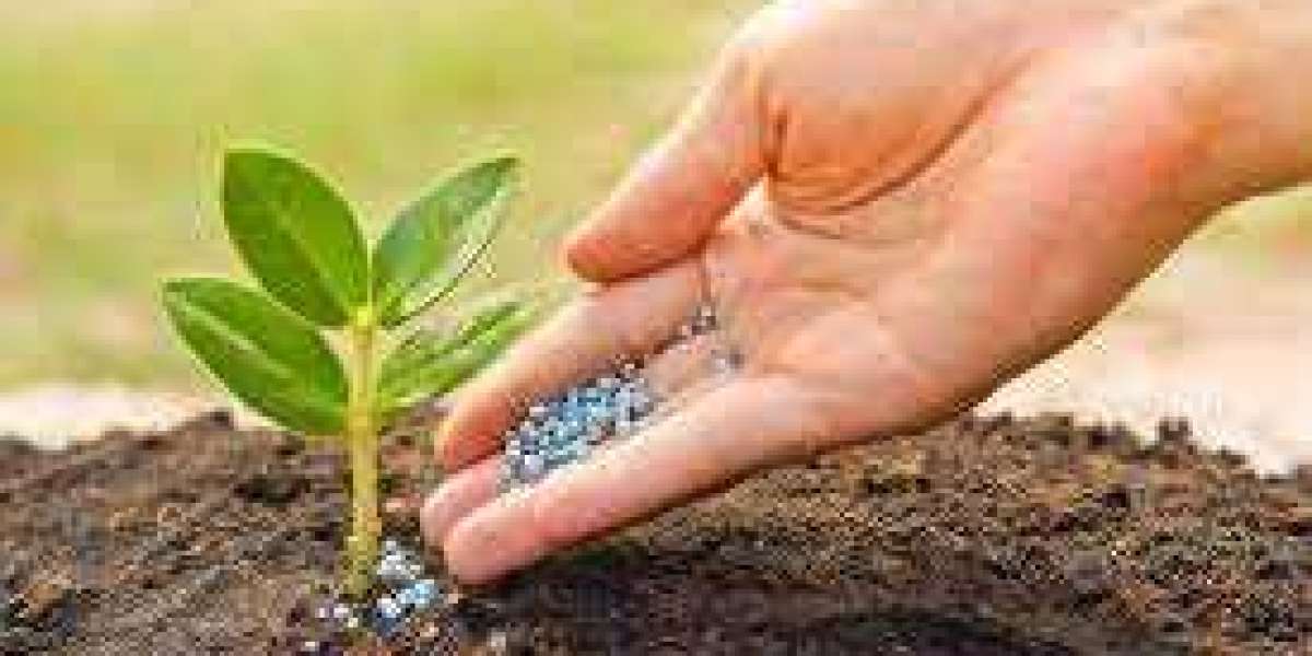 Fertilizer Additives Market Analysis by Size, Growth, Trends, Key Players and Forecast 2023- 2030