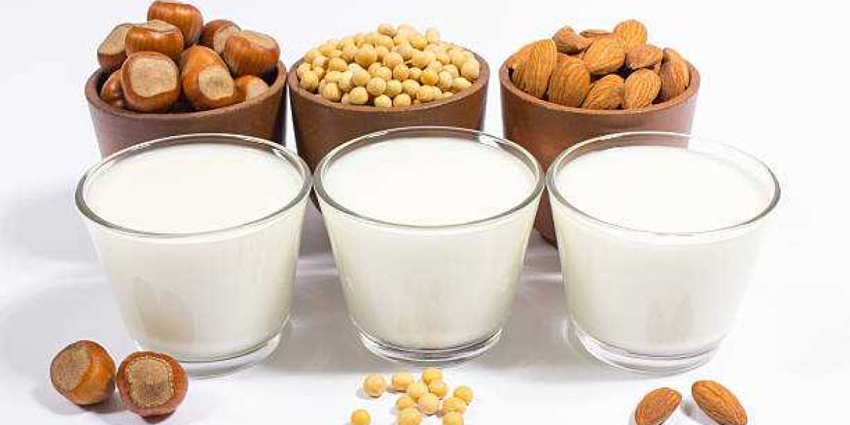 Dairy Alternatives Products Market Research Analysis, Drivers, Restraints, Key Factors Forecast 2030