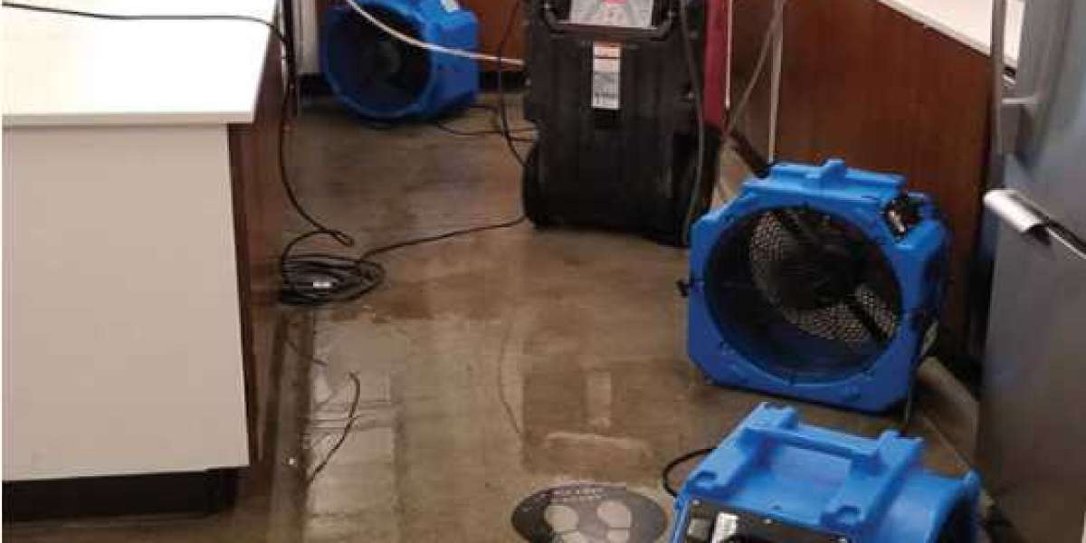 Water Damage Restoration Service in Alpharetta GA