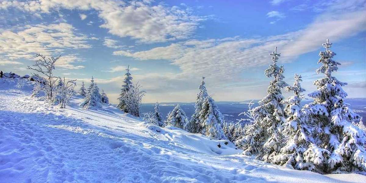 Things to consider before Visit in  Shimla Manali from Bangalore