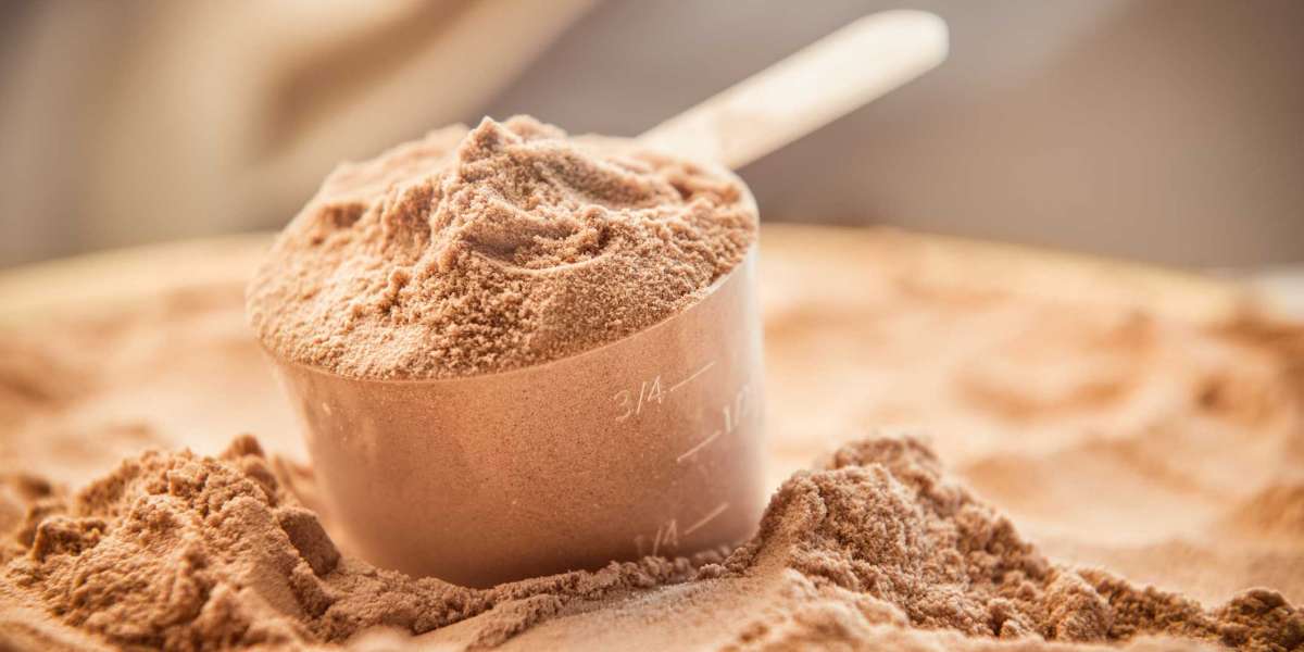 Whey Protein Products Market Size, Growth & Trends, Segmentation