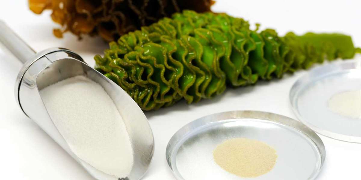 Seaweed Extracts for Cosmetics and Food and Beverage Market To Witness 2030