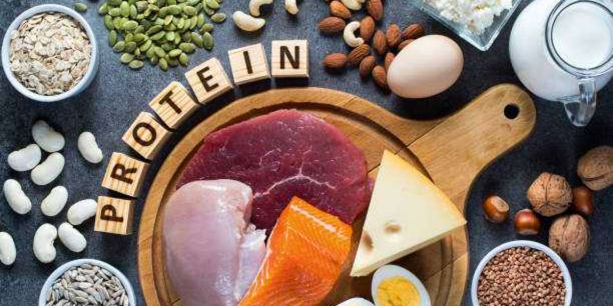 Protein Ingredients Market Outlook, Revenue Share Analysis, Market Growth Forecast 2028