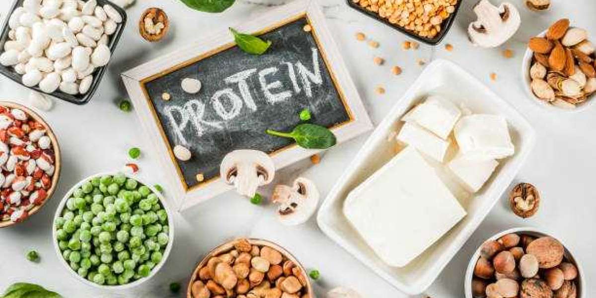 Protein Ingredients Market Outlook, Revenue Share Analysis, Market Growth Forecast 2028