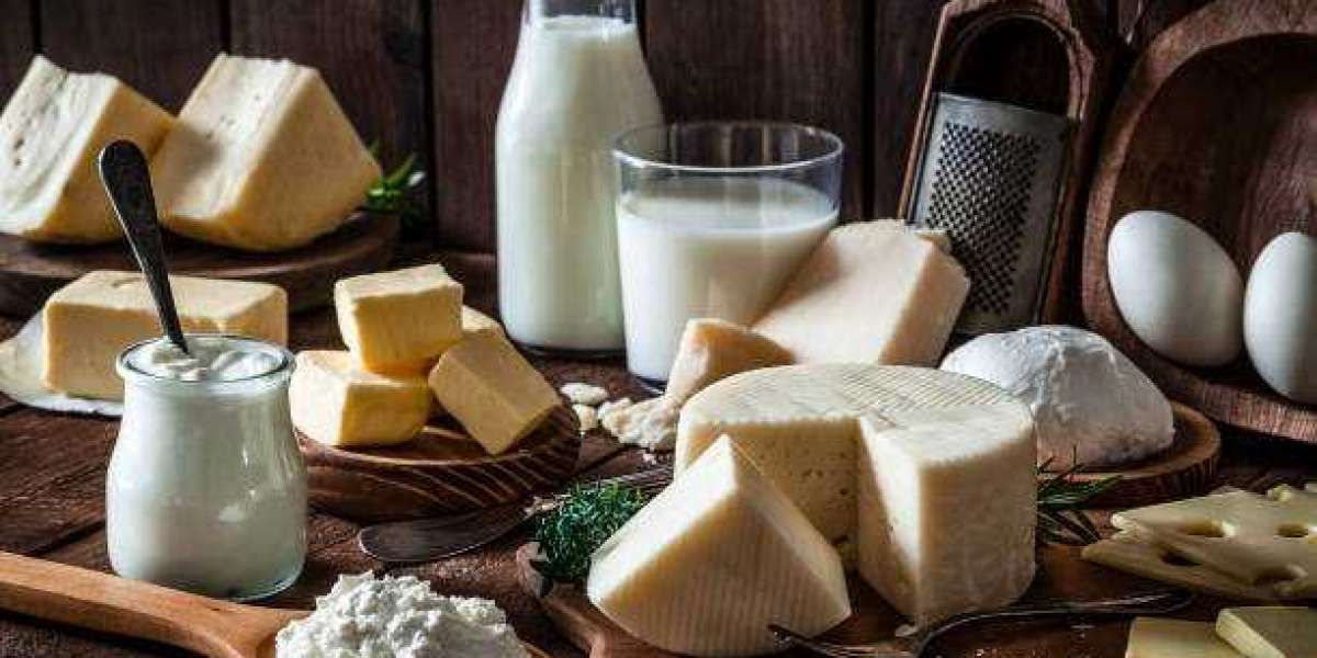 Dairy By-Products Market Outlook, Revenue Share Analysis, Market Growth Forecast 2030