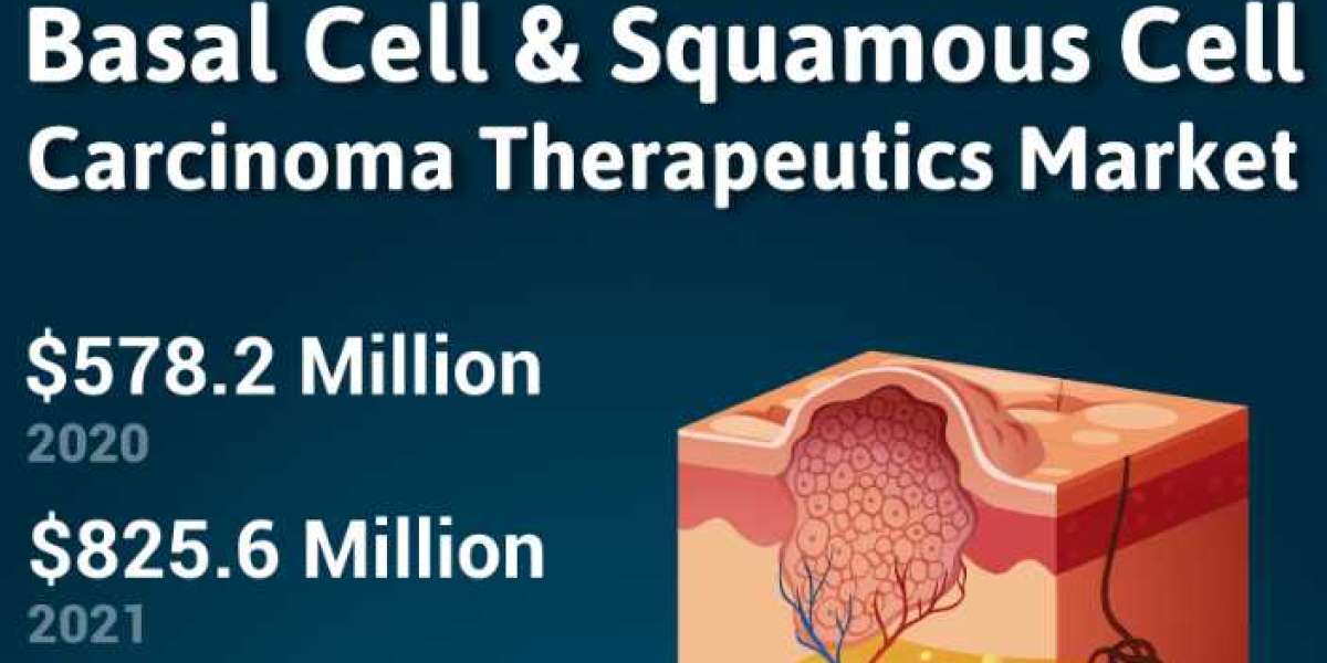 North America Basal Cell and Squamous Cell Carcinoma Therapeutics Market Growth, Merger And Global Forecast To 2023-2029