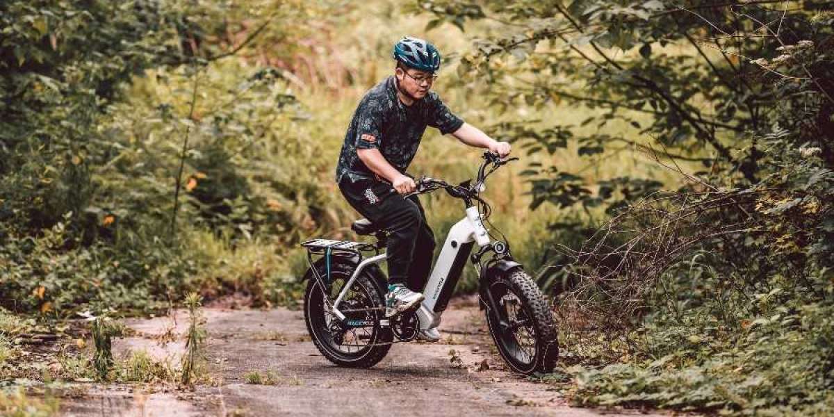 Jaguarundi and Ocelot Pro - Best Step Thru Ebikes from Magicycle