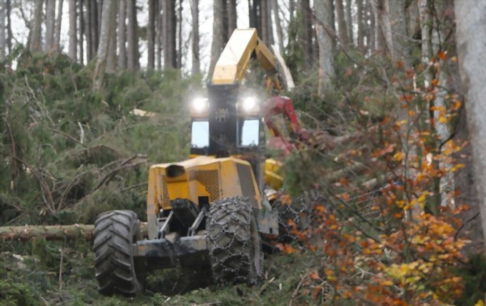 Locating Ideal Trusted Forestry Equipment and Tools Supplier