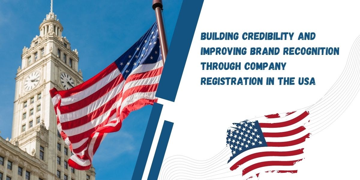 Company Registration (Dubai/ USA/ Canada): Building credibility and improving brand recognition through company registration in the USA