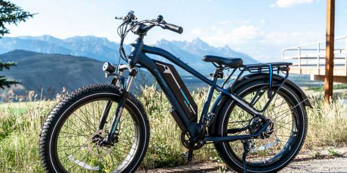 Hardtail VS Full Suspension: How To Choose The Right Type Of Mountain Ebike