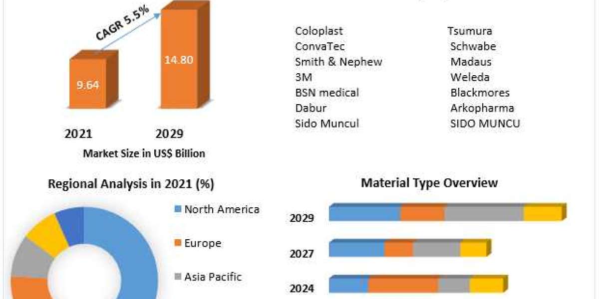 Hydrocolloid Dressing Market Development Trends, Competitive Landscape and Key Regions 2029