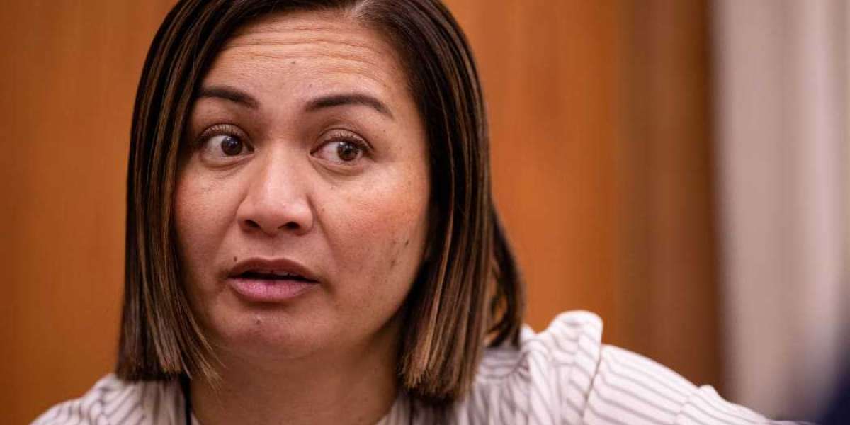 Marama Davidson clarifies violence comments from Posie Parker protest after calls to resign
