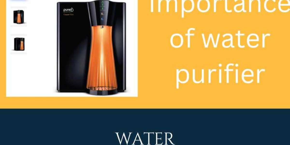The Risks of Drinking Untreated Borewell Water and How a Water Purifier Can Help