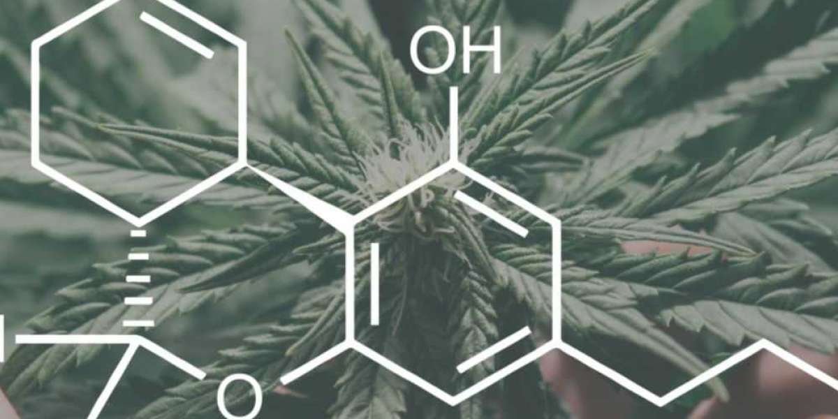 THCV - The Cannabinoid For Energy and Focus