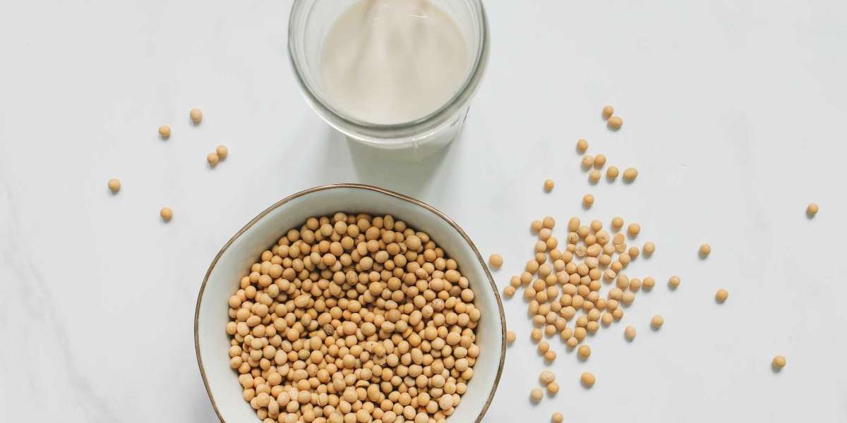 Soy Milk Market Report Size, Industry & Landscape Outlook, Revenue Growth Analysis to 2030