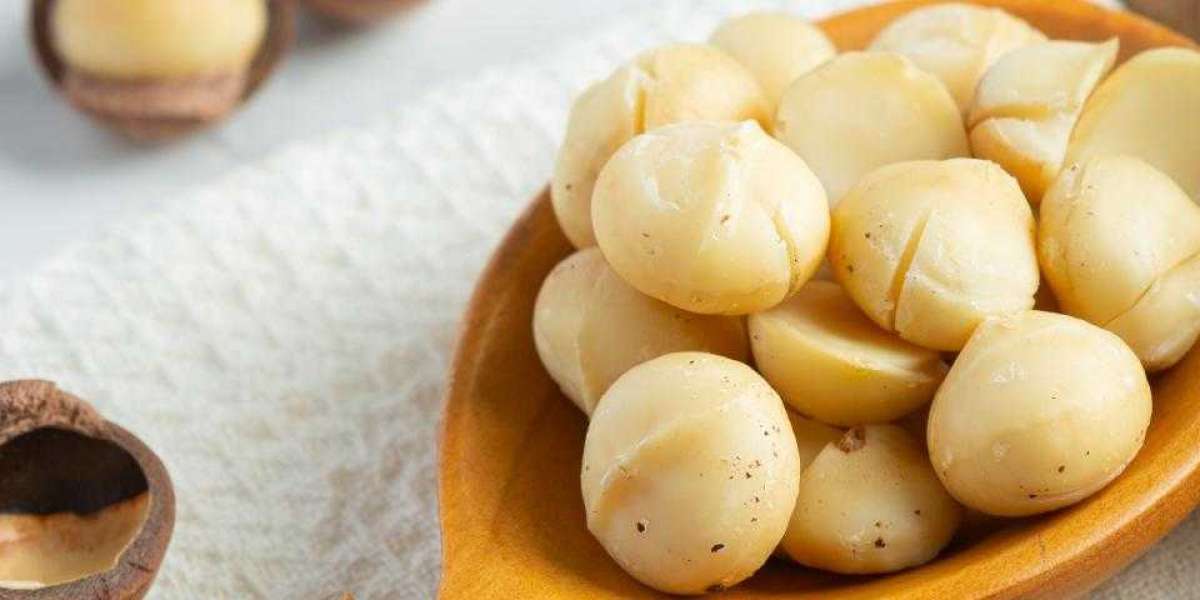 Macadamia Market size See Incredible Growth during 2030