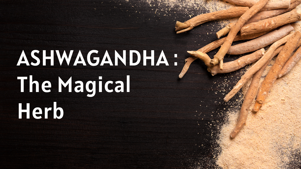 Ashwagandha: The Magical Herb | Prakritiveda Wellness Center