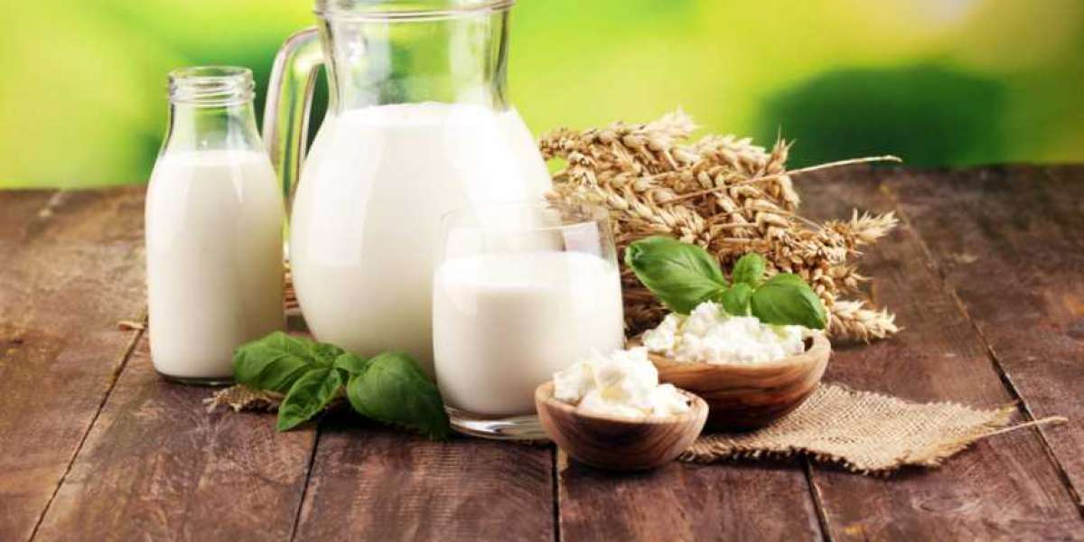 Organic Dairy Products Market By Leading Industry Players By 2028