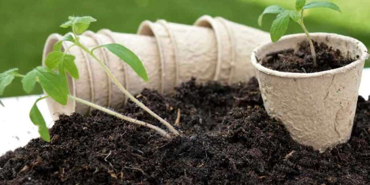Potting Soil Market will reach at a CAGR of 4.15% from 2023 to 2033