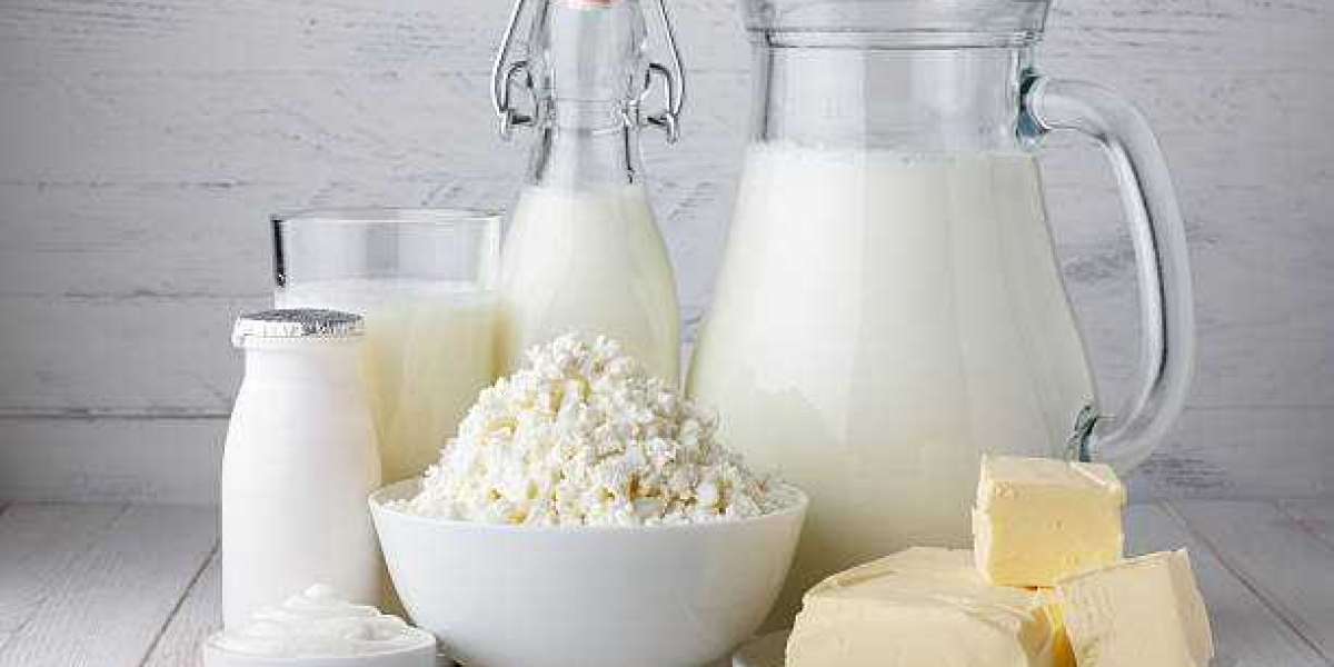 Dairy Blends Market Outlook, Revenue Share Analysis, Market Growth Forecast 2030