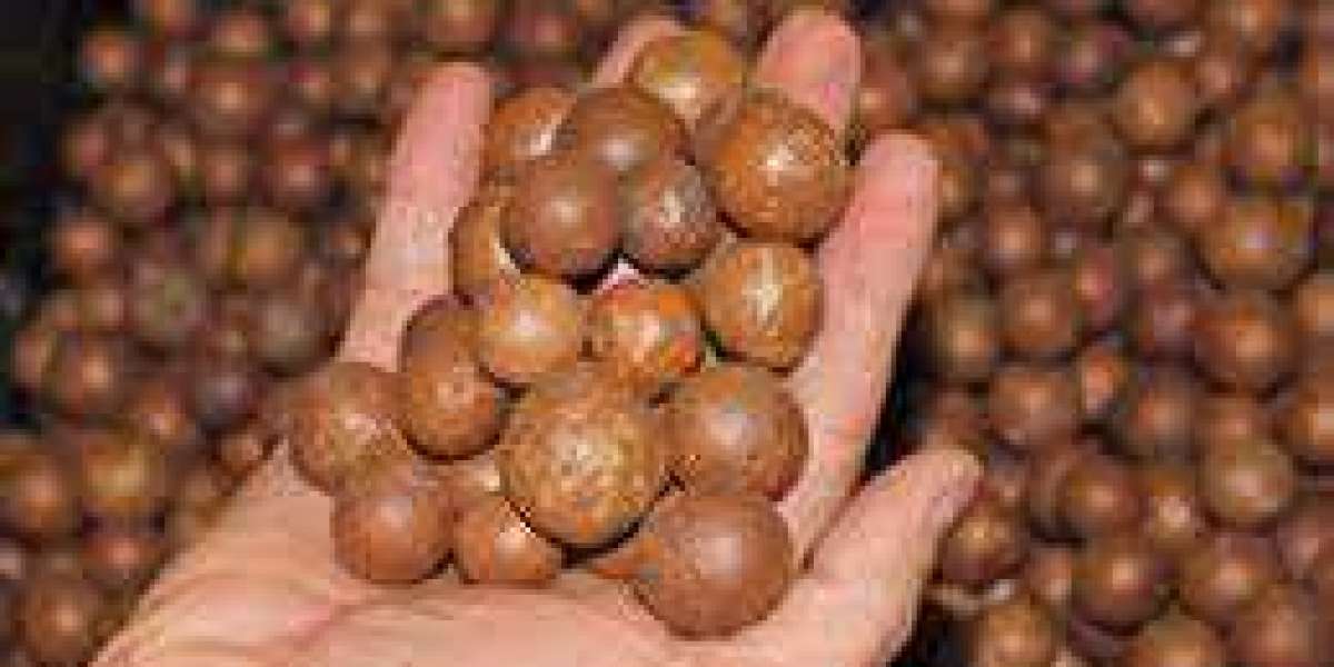 Macadamia Nuts Market Expected to Expand at a Steady 2022-2030