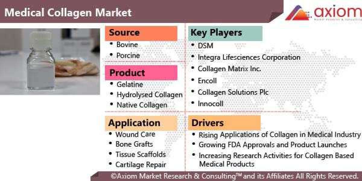 Medical Collagen Market Report by Product, by Source, by Application, by Geographic Scope and Forecast 2028