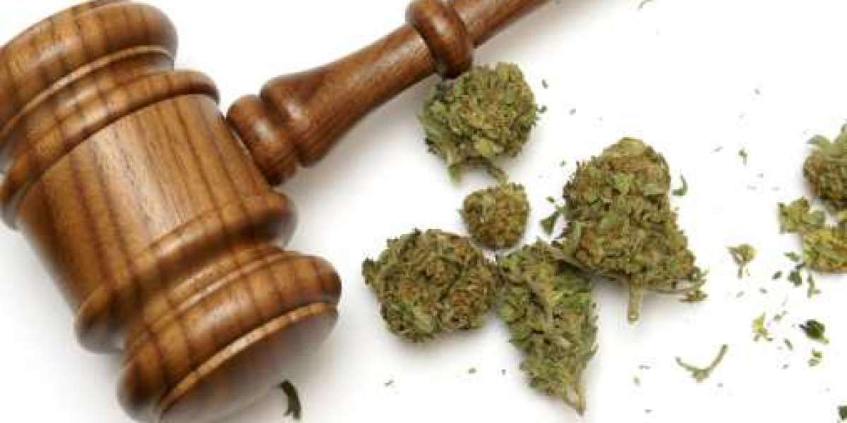 Legal Marijuana Market Qualitative Insights, Key Enhancement, Share Analysis To 2030