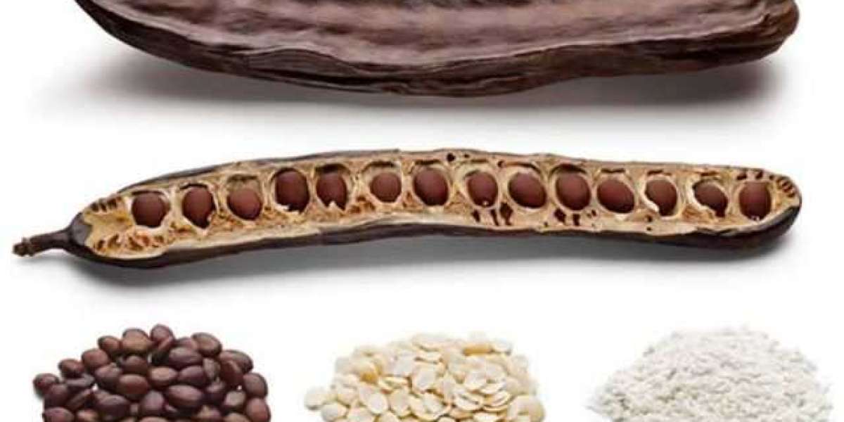Locust Bean Gum (E410) Market to Experience Significant Growth by 2030