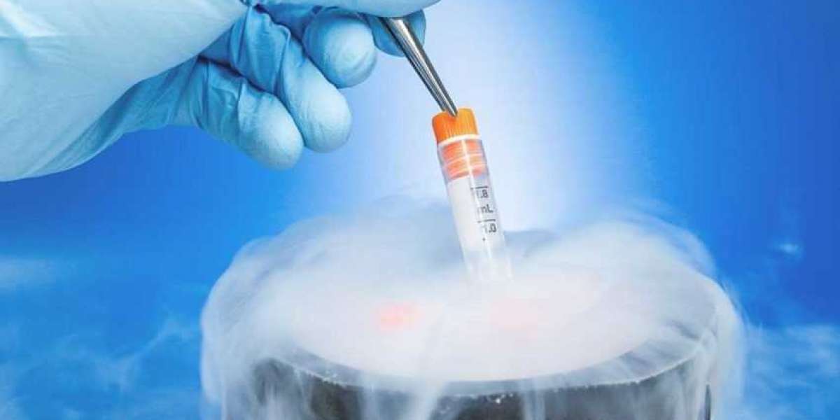 Cell Cryopreservation Market Size to Reach US$ 19,381.6 million by 2033