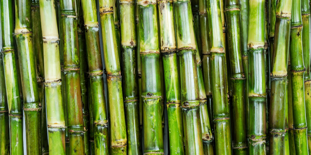 5 Noteworthy Benefits of Drinking Sugarcane Juice | by Sugarcane Juice Machine Kenya | Feb, 2023 | Medium