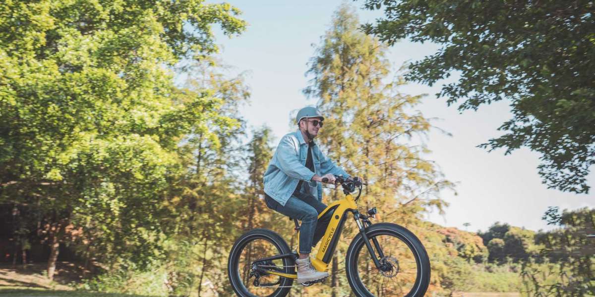 What Is the Best Full Suspension Electric Mountain Bike?